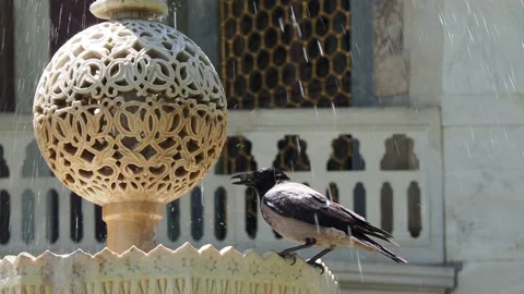 Fountain in Topkapı Palace in Intanbul Stock Footage 194922147