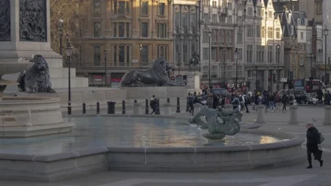 A Fountain In Trafalgar Square Stock Footage 145566554