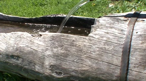 Fountain Tree Shot 1 Stock Footage 485132