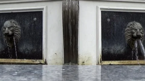 Fountain two lions. Stock Footage 54273489