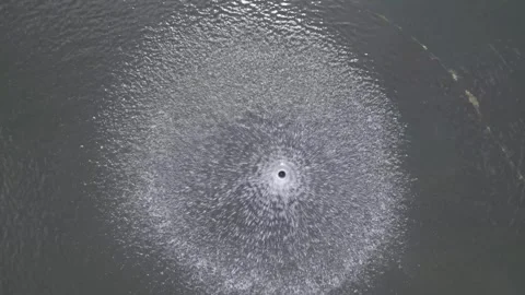 Fountain view from above Stock Footage 244351710