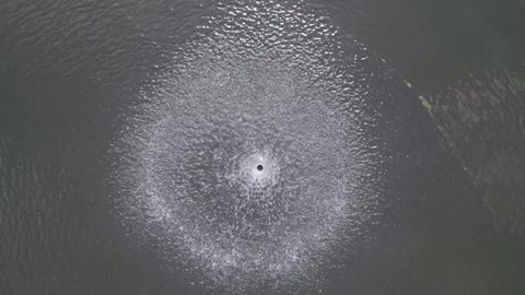 Fountain view from above Stock Footage 244351730