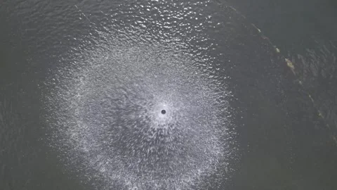 Fountain view from above Stock Footage 244351755