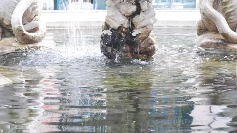 Fountain in the Villa Sciarra Stock Footage 172253612