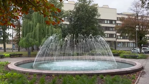 Fountain at Washington square in Vilnius Stock Footage 209239391