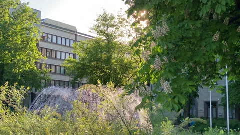 Fountain on Washington square in Vilnius, Lithuania Stock Footage 154949923