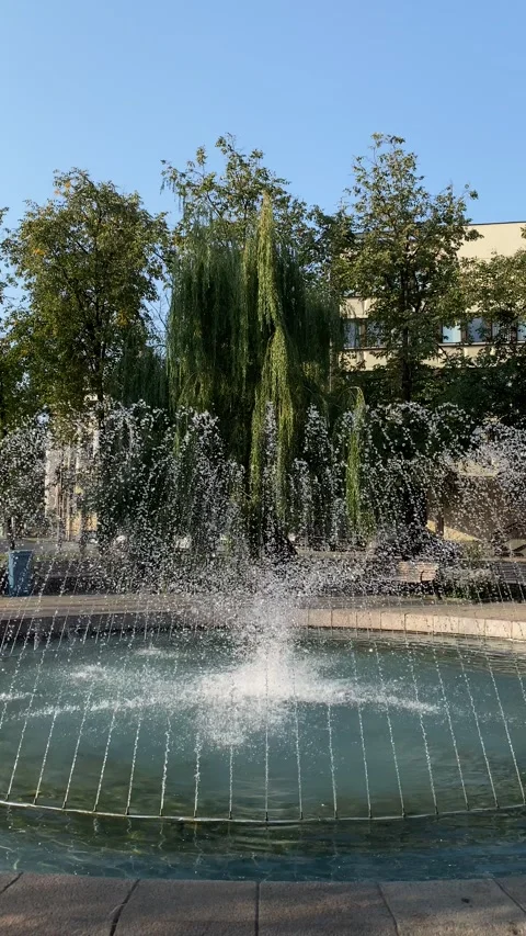 Fountain at Washington square in Vilnius, Lithuania. Vertical shot Stock Footage 250408359