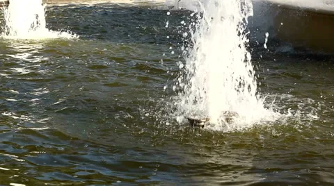 Fountain, Water Drops Stock Footage 42852141