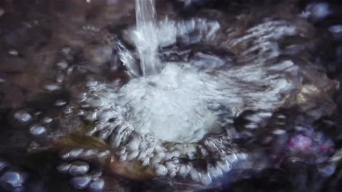 Fountain Water Flow 스톡 동영상 219228835