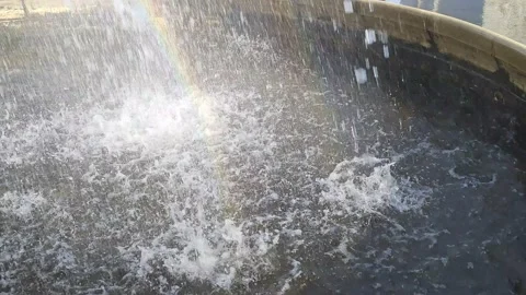 Fountain water jets falling down. Water droplets and sunlight form a rainbow Stockbeeldmateriaal 184561565