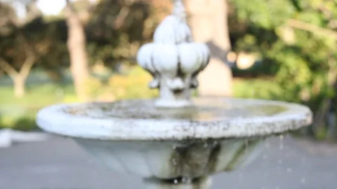 Fountain, Water, Outdoors Stock Footage