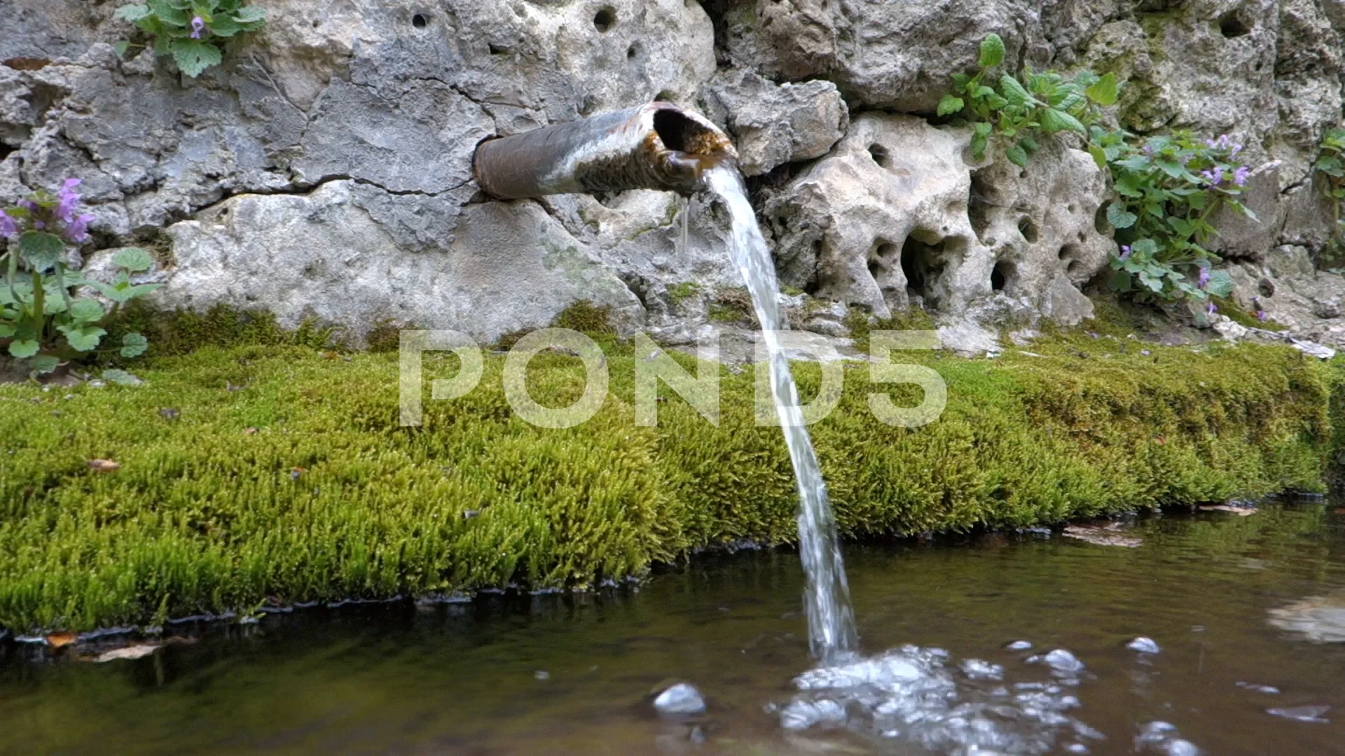 Natural Spring Fountain