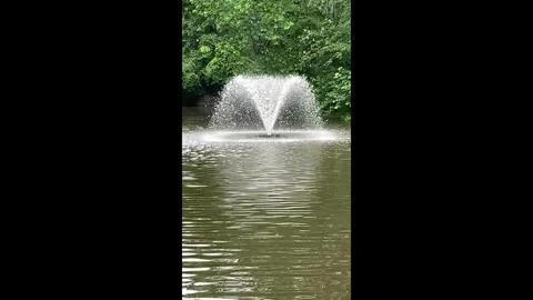 Fountain Water Sprinkler Stock Footage 276984037