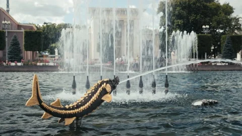 Fountain water stream splashing through mouth of decorative golden fish statue Stock Footage 209968248