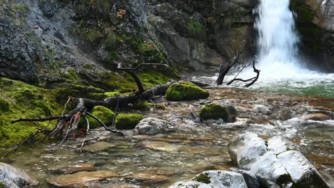 A fountain-like waterfall in autumn Stock-Footage 260829199