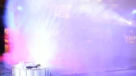 Fountain of Wealth Vidéo 587335