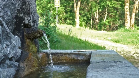 Fountain in the Woods Stock Footage