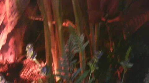 Fountain02 Stock Footage 556223