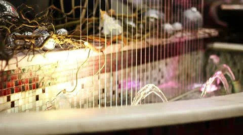 Fountain1 Video stock 9201628