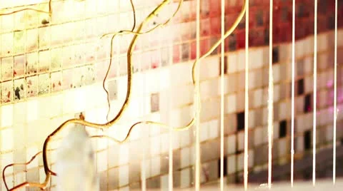 Fountain3 Stock Footage 9204271