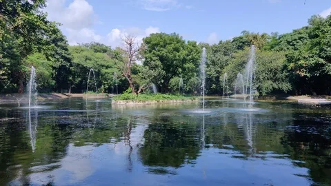 Fountains Stock Footage 118246104