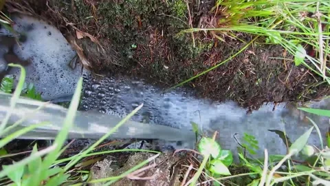 Fountains irrigate rice fields Stock Footage 197375432