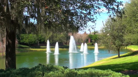 Fountains in a pond Stock Footage 50405857