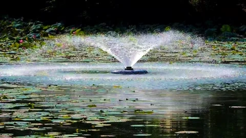 The fountain's spray Stock Footage 316359780