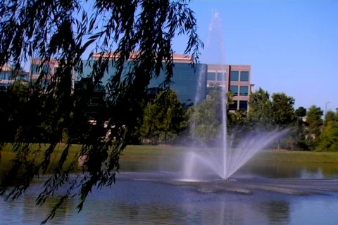 FountainWillow Stock Footage