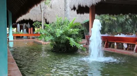 Fountian With Plants Video stock 10890136