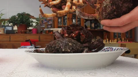 Four alive spider crabs in a dish Stock Footage 241440971