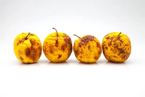 Four apples Stock Photos