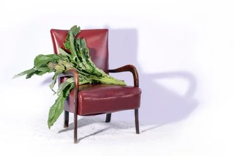 Four artichokes Stock Photos