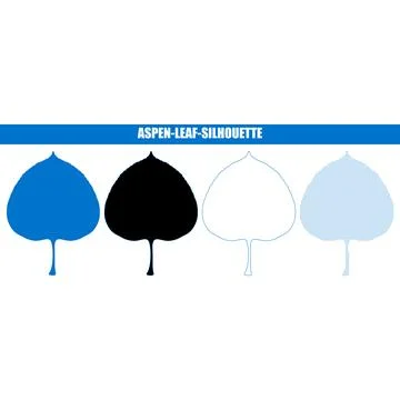 Four Aspen leaf silhouette variations showing outline fill and solid styles.. Stock Illustration