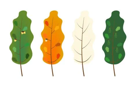 Four beautiful trees, one for each season of the year, summer, autumn, winter Stock Illustration