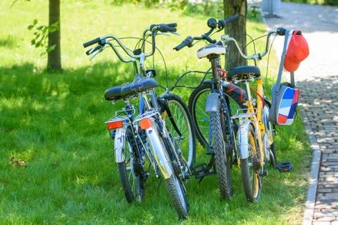 Four bikes of different sizes standing on the lawn in the park Stock-Fotos