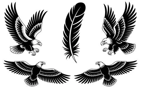 Four Black and White Eagle with Feather Centerpiece Stock Illustration