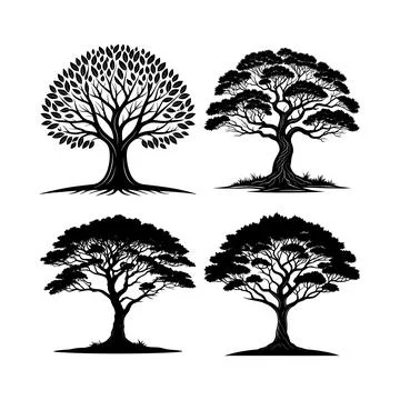 Four black and white tree with different leaf patterns msea set tree leaf p.. イラスト素材