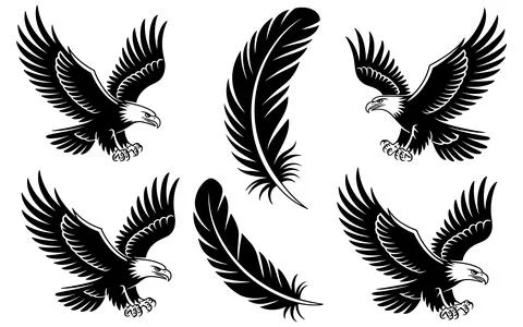 Four Black Eagles and Three Feathers in white bird Stock Illustration