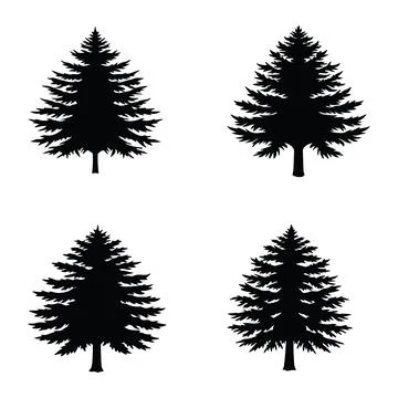 Four black silhouette pine trees isolated on white background Stock Illustration
