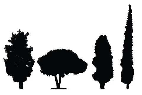 Four black silhouette trees vector set Stock Illustration