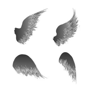 Four black wings Stock Illustration