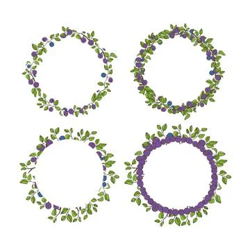 Four blueberry round frame for decor Illustrazione stock