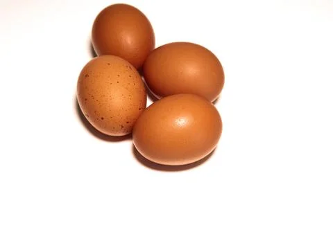 Four brown egg isolated on white background Stock Photos