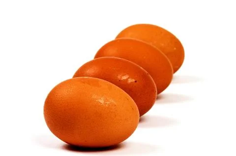 Four brown eggs in a row isolated on white background Stock Photos