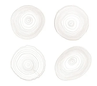 Four brown ring tree wood with woodgrain detail Stock Illustration