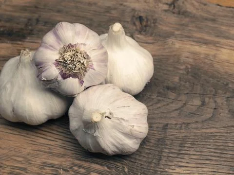 Four bulbs of garlic on a rustic kitchen table Stock Photos