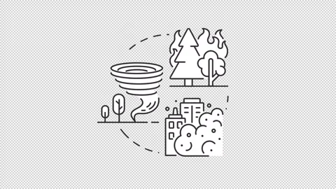 Four categories of global crises line concept icons animation set Stock Footage 340283531