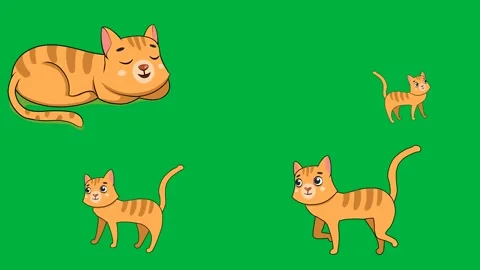 Four cats sitting walking standing and stretching Perfect for chroma key Stock Footage 309640943