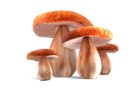 Four ceps mushrooms isolated on white 3d illustration Stock Illustration